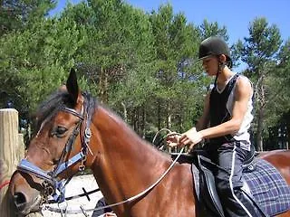 Galicia Oca Nuevo Manzaneda * Cabeza de Manzaneda